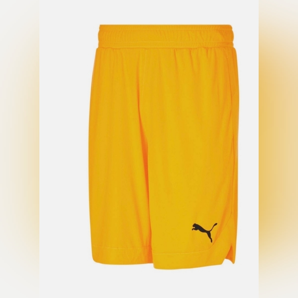 Puma Mens Workout 10 Shorts - Picture 4 of 6